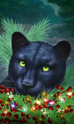 Blue Panther -CE